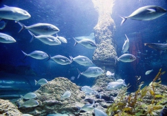 廣州到蓬萊物流專(zhuān)線_廣州到蓬萊貨運(yùn)直達(dá)