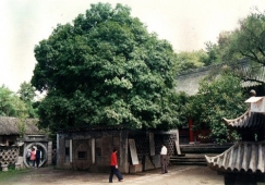 廣州到漢中物流專線，廣州到漢中貨運(yùn)公司