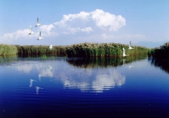 廣州到巴彥淖爾物流專線，廣州到巴彥淖爾運輸公司