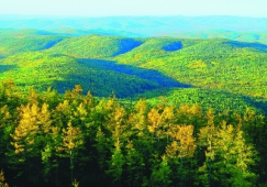 廣州到大興安嶺物流專線，廣州至大興安嶺貨運公司