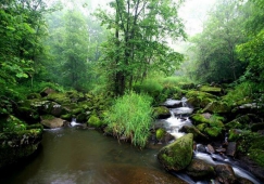 廣州到伊春物流專線，廣州至伊春貨運公司