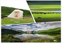 廣州到阿壩物流專線，專業(yè)運(yùn)輸廣州至阿壩貨運(yùn)公司