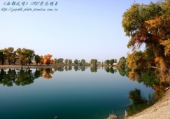 廣州到阿克蘇物流專線，廣州到新疆阿克蘇貨運(yùn)公司