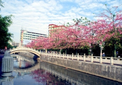 廣州到遂溪物流專(zhuān)線，廣州到遂溪貨運(yùn)公司