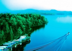 廣州到信陽物流專線，廣州到信陽貨運(yùn)公司，物流運(yùn)輸電話