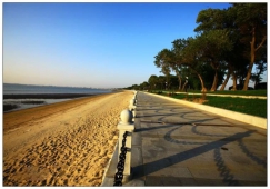 佛山到營(yíng)口物流專(zhuān)線(xiàn)|佛山到營(yíng)口物流公司|佛山到營(yíng)口貨運專(zhuān)線(xiàn)