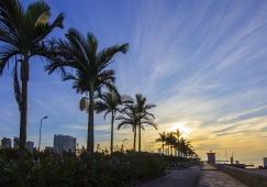 河源到朝陽物流專線|河源到朝陽貨運公司|河源到朝陽物流