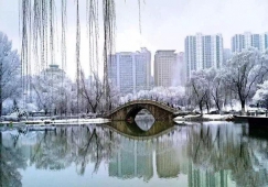 惠州到西寧物流專(zhuān)線|惠州到西寧貨運(yùn)公司